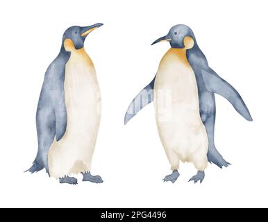 Aquarell Kaiserpinguine. Handgezeichnete Darstellung isoliert auf weißem Hintergrund. Zeichnung antarktischer Tiere in Pastellfarben. Skizze des Polarvogel. Skizze für Logo oder Symbol. Nordzeichen. Stockfoto