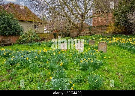 Der alte Quaker-Grabplatz wurde in eine Grünfläche umgewandelt, die Lane Woodbridge Suffolk umgibt. Stockfoto