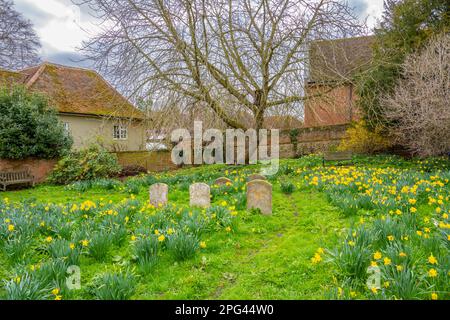 Der alte Quaker-Grabplatz wurde in eine Grünfläche umgewandelt, die Lane Woodbridge Suffolk umgibt. Stockfoto