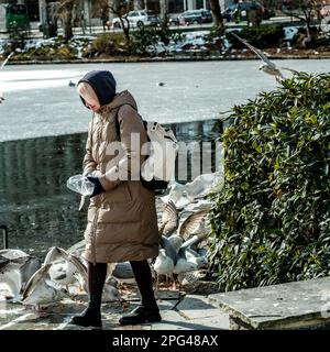 Stavanger, Norwegen, 10 2023. März, Frau füttert Eine Herde Seagullen im Downtown Stavanger City Park an Einem kalten Wintermorgen Stockfoto