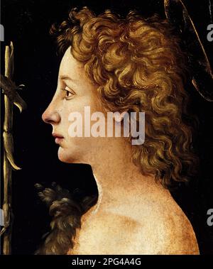 Der junge Heilige Johannes der Täufer vom italienischen Renaissance-Maler Piero di Cosimo (1462-1522), Tempera und Öl auf Holz, c. 1480-82 Stockfoto