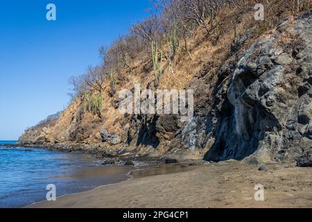 Ein Bild einer felsigen Küste in Costa Rica mit Kakteen und Bäumen, die aus den Felsen wachsen. Das Meer und der Himmel sind tiefblau und der Sand ist golden. Stockfoto