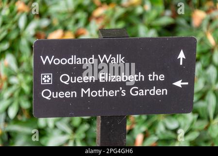 Der Garten der Königinmutter auf dem Gelände von Walmer Castle nahe Deal in Kent, Großbritannien die Königinmutter war 23 Jahre lang Lord Warden, und dieser Betrug Stockfoto