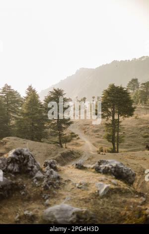 Eine gewundene, unbefestigte Straße erstreckt sich über eine üppige grüne Landschaft Stockfoto