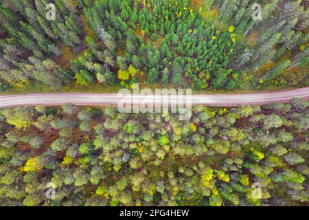 Luftaufnahme über Nadelbäume und trostlose Schotterstraße durch Fichtenwälder im Herbst/Herbst, Dalarna, Schweden, Skandinavien Stockfoto