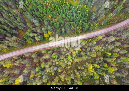 Luftaufnahme über Nadelbäume und trostlose Schotterstraße durch Fichtenwälder im Herbst/Herbst, Dalarna, Schweden, Skandinavien Stockfoto