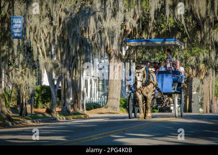 Touristen aus Beaufort, South Carolina, erkunden die Stadt auf einer Kutschfahrt unter moosbedeckten Bäumen. Stockfoto