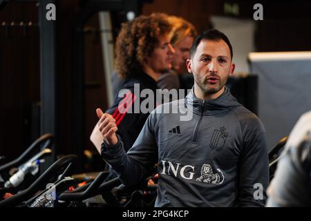 ACHTUNG HERAUSGEBER - HANDOUT-BILDER - REDAKTIONELLE VERWENDUNG MIT STORY NUR ZU BEGINN TRAINING RED DEVILS - OBLIGATORISCHE PUNKTE RBFA - ROYAL BELGIAN FOOTBALL ASSOCIATION HANDOUT-BILDER VERÖFFENTLICHT AM MONTAG, DEN 20. MÄRZ 2023, Der Royal Belgische Fußballverband zeigt, wie der belgische Cheftrainer Domenico Tedesco am Montag, den 20. März 2023, bei einem Indoor-Training in der Fitnesshalle der Trainingseinrichtungen des RBFA in Tubize fotografiert wurde. *** Belga und Belga Redaktionsrat lehnen jegliche Verantwortung für den Inhalt dieses Bildes ab. *** BELGA-FOTO-HANDOUT - RBFA Stockfoto