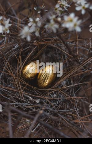 Goldene Ostereier in einem Vogelnest mit Blick auf den festlichen Frühling im flachen Hintergrund. Feiertagsfeier im Frühling. Stilleben zu Ostern mit traditioneller Dekoration Stockfoto
