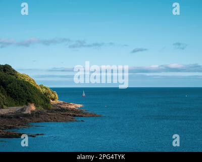 Yacht Sailing vorbei an Pendennis Halbinsel, Falmouth, Cornwall, England, Großbritannien, GB. Stockfoto