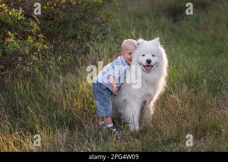 Der kleine Junge umarmt liebevoll den weißen, flauschigen Samoyerten Hund. Freundschaft zwischen Mensch und Tier. Therapie, Training, Pflege, Tierpflege. Reisen in der Natur mit Stockfoto