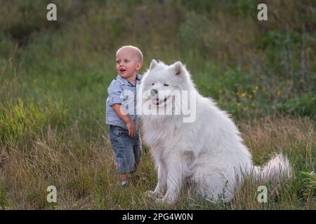 Der kleine Junge umarmt liebevoll den weißen, flauschigen Samoyerten Hund. Freundschaft zwischen Mensch und Tier. Therapie, Training, Pflege, Tierpflege. Reisen in der Natur mit Stockfoto