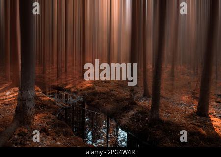 Abstrakte Waldlandschaft Stockfoto