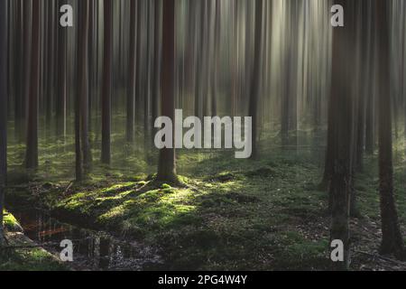 Abstrakte Waldlandschaft Stockfoto