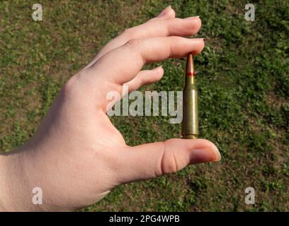 Gewehrkartusche in der Hand auf grünem Gras. Nahaufnahme Stockfoto