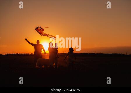 Panorama-Silhouette für eine Familie mit Samoyed, der bei Sonnenuntergang mit Drachen am Himmel rennt. Blick von unten durch die Ohren. Vater hält Spielzeug in den Händen, m Stockfoto