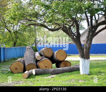 In einem Haufen Holzstücke, die zum Heizen in Brennholz geschnitten wurden Stockfoto