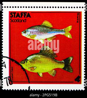 MOSKAU, RUSSLAND - 16. MÄRZ 2023: Briefmarke gedruckt in Aschenputtel zeigt Birterling, Crucian Carp, Staffa Serie, um 1978 Stockfoto