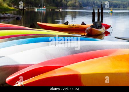 Die Lake Quinault Lodge im Olympic National Park, Washington, USA, lockt mit einer Reihe farbenfroher Kajaks an der Küste und Touristen im Hintergrund. Stockfoto