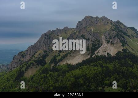 Velky Rozsutec, Berg im Nationalpark Mala Fatra, Slowakei, bewölkter Frühlingstag. Stockfoto