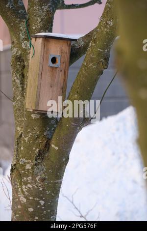 Helsinki / Finnland - 1. MÄRZ 2023, Ein handgemachtes Vogelhaus aus Holz, das an einem Baum hängt. Stockfoto