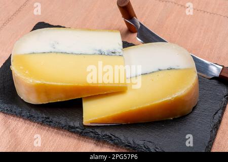 Farbenfroher doppelter holländischer Käse, Hartkäse aus Kuhmilch und Ziegenmilch mit schwarzer Schimmelschicht im Inneren, Nahaufnahme Stockfoto