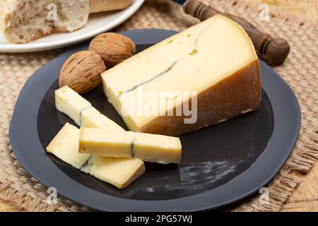 Käsesammlung, halbweicher Kuhmilchkäse von French Morbier mit schwarzer Schimmelschicht Stockfoto