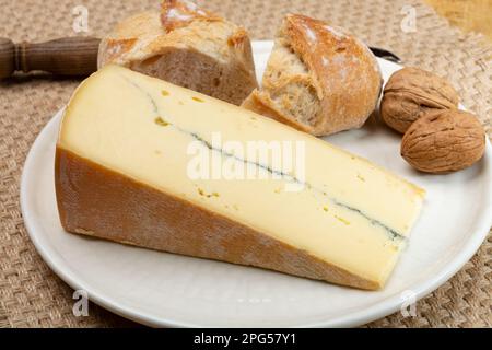 Käsesammlung, halbweicher Kuhmilchkäse von French Morbier mit schwarzer Schimmelschicht Stockfoto