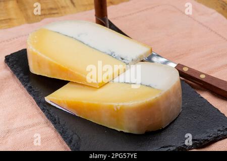 Farbenfroher doppelter holländischer Käse, Hartkäse aus Kuhmilch und Ziegenmilch mit schwarzer Schimmelschicht im Inneren, Nahaufnahme Stockfoto