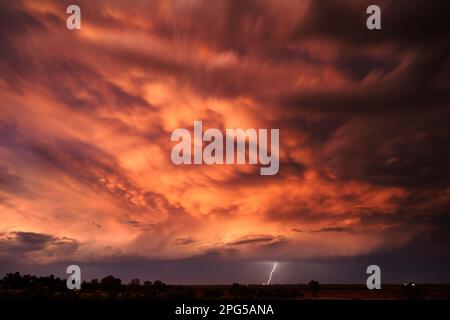 Ein einzelner Blitz am Horizont mit einem dramatischen Abendhimmel, orange in Farbe vom verblassenden Sonnenuntergang. Es bildet sich eine kleine Mammantuswolke Stockfoto