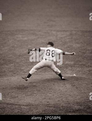 1950S. OKTOBER 4TH 1950 EIN PITCHER IM WORLD SERIES-SPIEL PHILADELPHIA PHILLIES VS. NEW YORK YANKEES 88 IST EINE ÜBERARBEITETE NUMMER - B6392 HAR001 HARS PITCHER HIGH ANGLE NUMBER AUFREGENDE MOUND OCCUPATIONS PROFISPORTKONZEPTIONELLE PITCHER OKTOBER 4 WINDUP BALL SPIEL BALL SPORT NEW YORK YANKEES PHILLIES PITCHING SERIES GEGEN YANKEES JUNGER ERWACHSENER, SCHWARZ-WEISS, KAUKASISCHE ETHNISCHE ZUGEHÖRIGKEIT HAR001, MAJOR LEAGUE NEW YORK, ALTMODISCHE HALTUNG Stockfoto