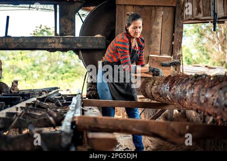 Frau in Arbeitskleidung mit einem großen Holzstamm in einem Sägewerk. Dieses Bild dient als Erinnerung an den wertvollen Beitrag, den Frauen in einer Reihe von mir leisten Stockfoto