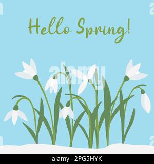 Grußkarte mit Schneetropfen Frühlingsblumen, „Hello Spring“-Text, Vektorabbildung Stock Vektor