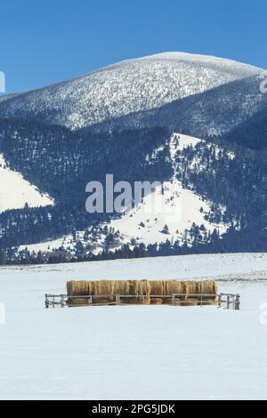 Heuballen unter dem berg nevada im Winter in der Nähe von Helmville, montana Stockfoto