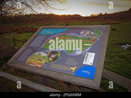 Waverley BC Borough Council, Godalming Lammas Lands Overgone Meadow Guide, on Bridge Street, Surrey, England, Großbritannien, GU7 3DU Uhr bei Sonnenuntergang Stockfoto