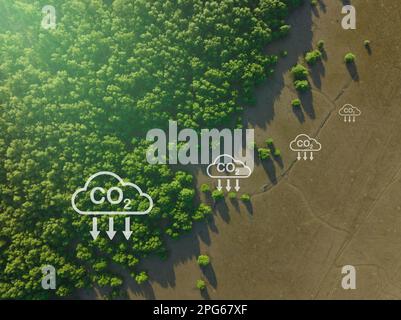 Konzept der CO2-Abscheidung. Natürliche Kohlenstoffsenken. Mangrovenbäume fangen CO2 aus der Atmosphäre ein. Luftaufnahme des grünen Mangrovenwaldes. Blauer Kohlenstoff Eco Stockfoto