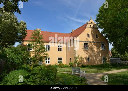 Dahlem Domain, Koenigin-Luise-Straße, Koenigin-Luise, Dahlem, Steglitz-Zehlendorf, Berlin, Deutschland Stockfoto