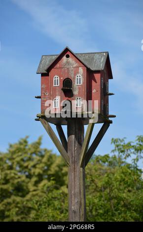 Bird House, Koenigin-Luise-Straße, Dahlem Domain, Koenigin-Luise, Dahlem, Steglitz-Zehlendorf, Berlin, Deutschland Stockfoto