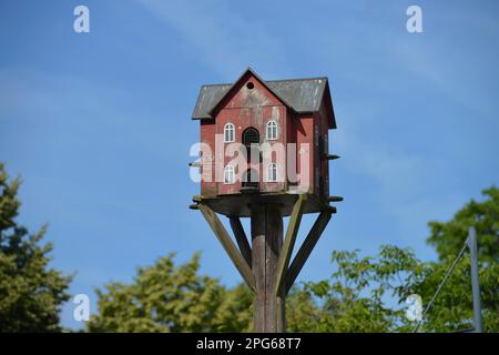 Bird House, Koenigin-Luise-Straße, Dahlem Domain, Koenigin-Luise, Dahlem, Steglitz-Zehlendorf, Berlin, Deutschland Stockfoto