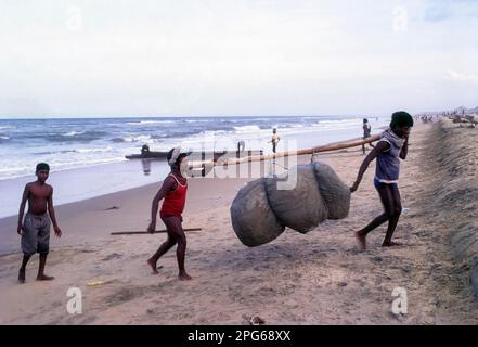 Fischer in Arbeit, Marina Beach in Chennai, Tamil Nadu, Indien, Asien Stockfoto