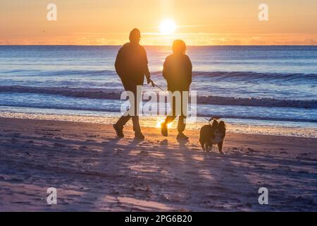 North Myrtle Beach, North Carolina, USA: Die goldene Sonne geht über dem Atlantik auf, und ein Mann, eine Frau und ein Hund gehen entlang der Küste in Richtung Kamera. Einfach so Stockfoto