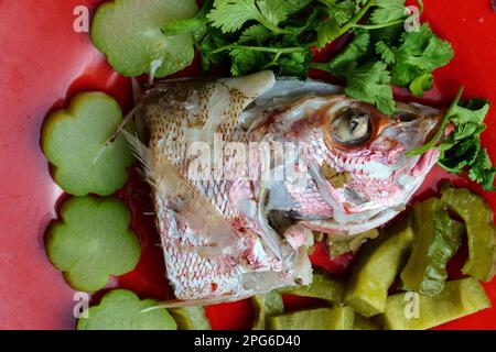 Gedämpfter roter Schnapper-Kopf mit bitteren Kürbissen und Chayote auf rotem Teller. Studioaufnahme. Selektiver Fokus. Speicherplatz kopieren. Stockfoto