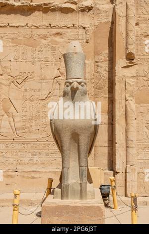 Die Falcon Statue im Edfu Tempel, Edfu, Ägypten Stockfoto