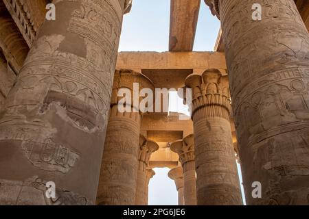 Säulen im Kom Ombro Tempel, Kom Ombro, Ägypten Stockfoto