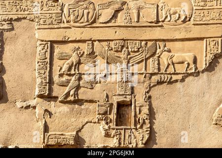 Bas Relief Szene im Kom Ombro Tempel, Kom Ombro, Ägypten Stockfoto