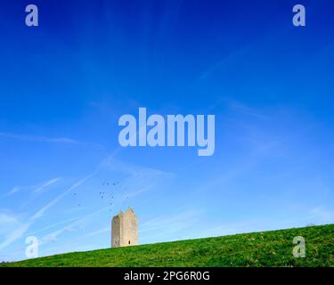 Der Dovecote mit Krähen, der rüberfliegt Stockfoto