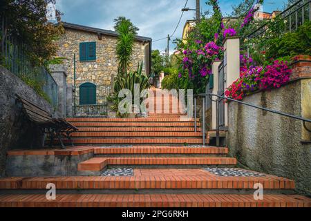 Malerischer, gemütlicher Blick auf die Straße von der Treppe mit Blumengärten und rustikalen Steinhäusern, Tellaro, Ligurien, Italien, Europa Stockfoto
