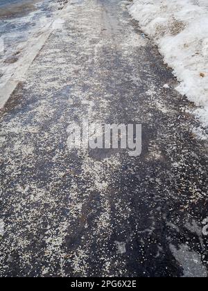 Zu viel Enteiser auf dem Bürgersteig. Selektiver Fokus auf Industriesalzkörner auf der eisigen Oberfläche, die zum Schmelzen von Eis und Schnee verwendet werden. Stockfoto