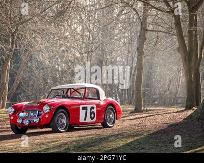 1960 Austin Healey MK1 3000 Works Rally Car (Pat Moss, Ann Wisdom) Stockfoto