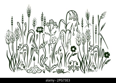 Abstrakter Hintergrund mit schwarzen Silhouetten von Wiesenwildkräutern und -Blüten. Gezeichnet im Kritzelstil. Isoliert auf weißem Hintergrund. Vektordarstellung. Stock Vektor